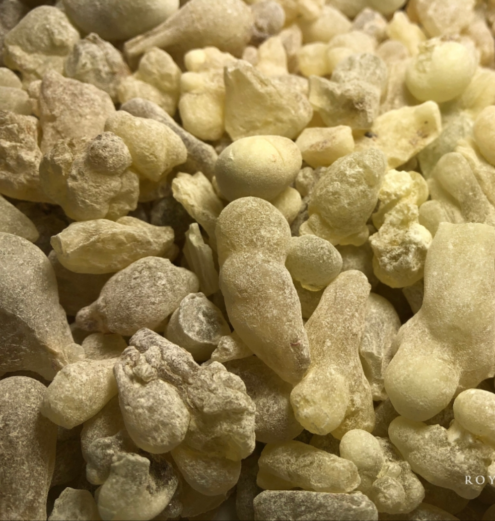 Oliban Résine Encens Boswellia Sacra Encens Oliban Male Premium FRANKINCENSE ROYAL OMANI PURIFIÉ ET TRAITÉ POUR TISANE ET MANGER