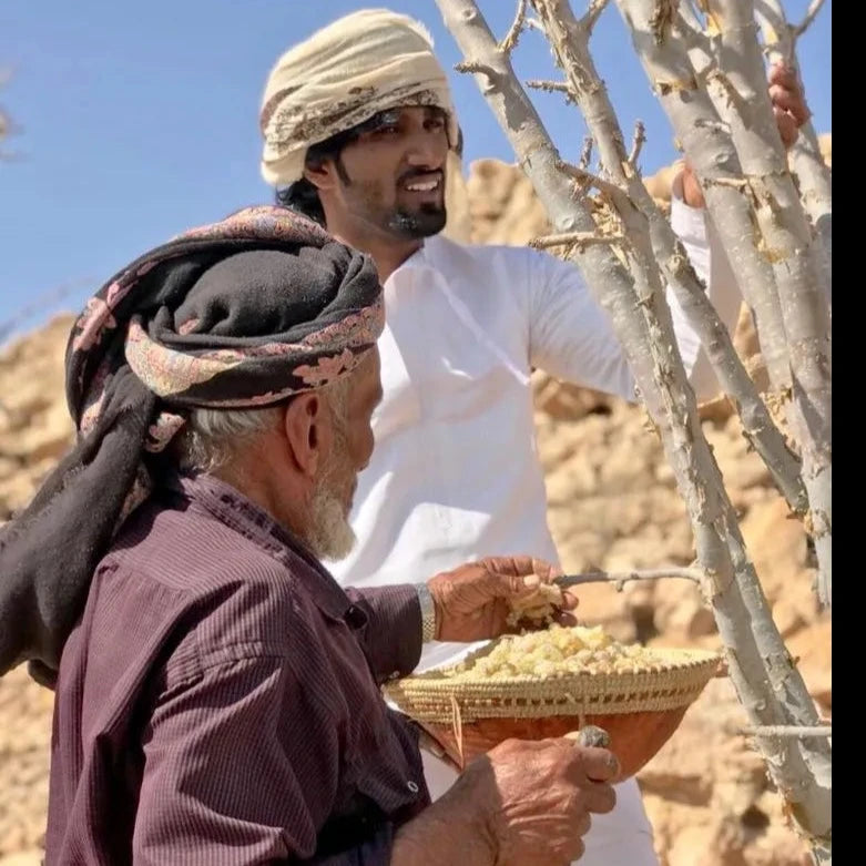 Loban omani hojari au oud royal